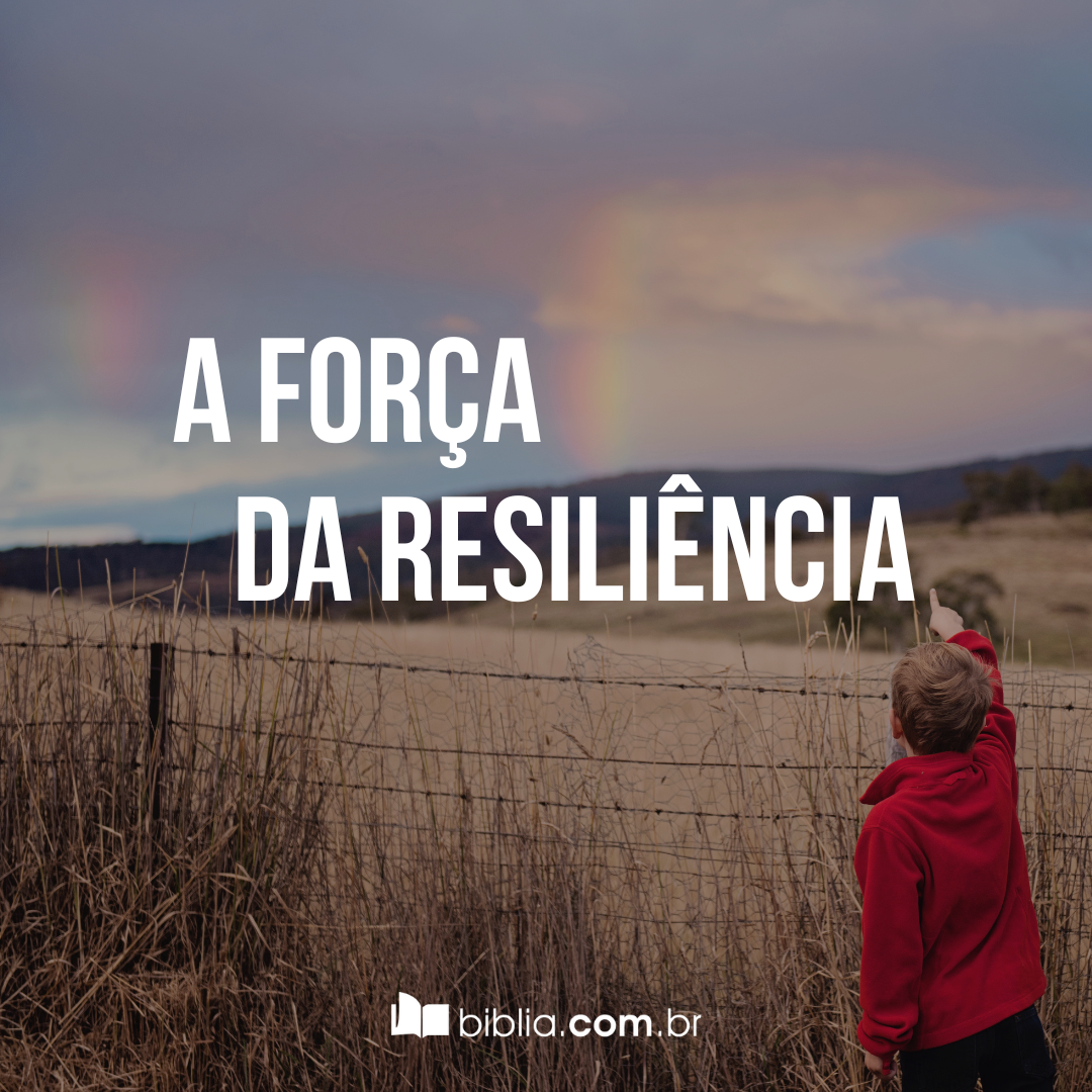 A importância da resiliência como ferramenta para superar